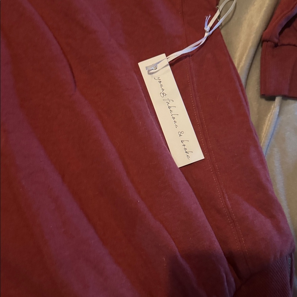 Young Fabulous & Broke Maroon Asymmetrical Turtleneck Dress XS NWT $178 - Picture 3 of 6